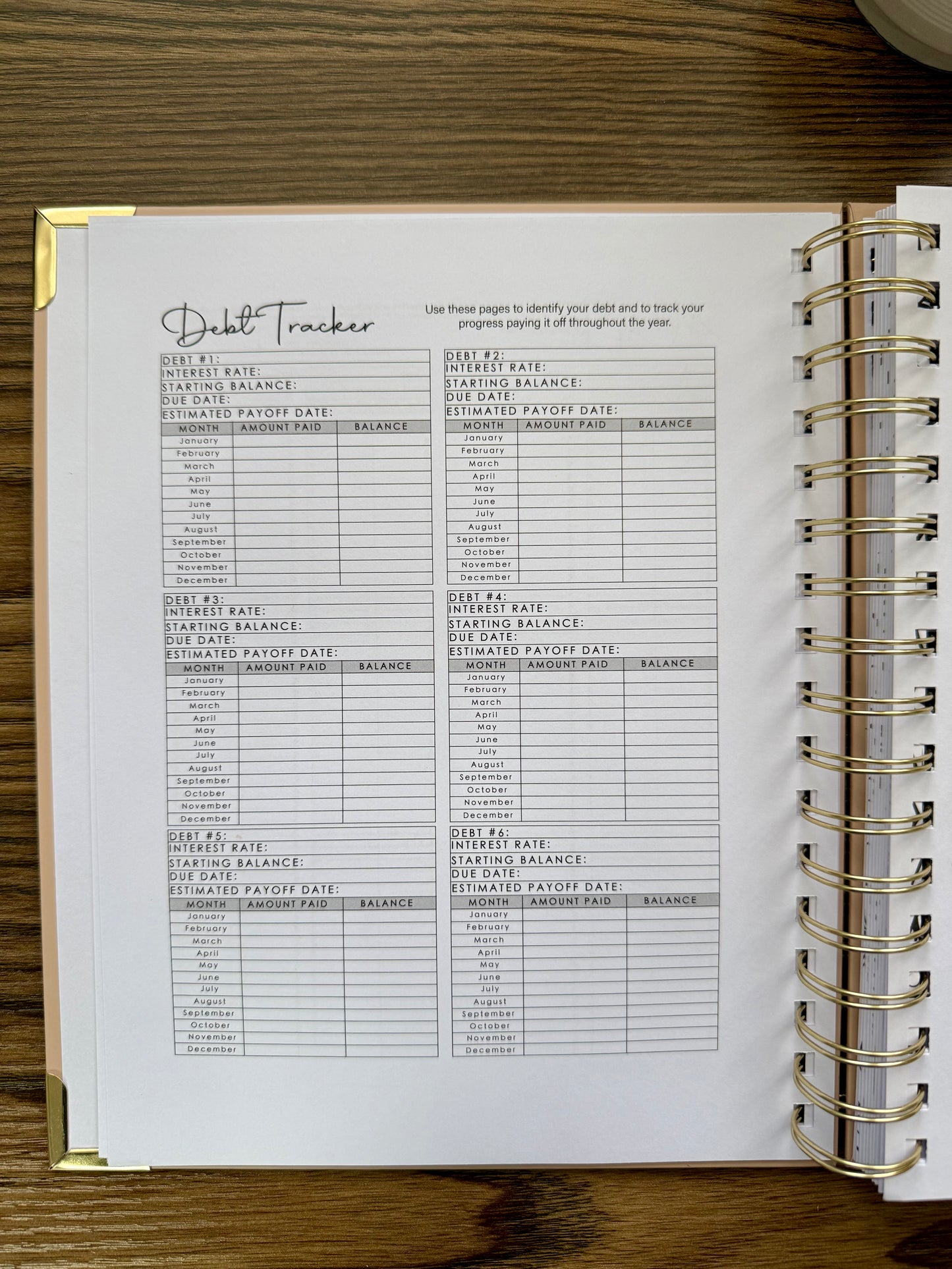 Bold Budget Planner